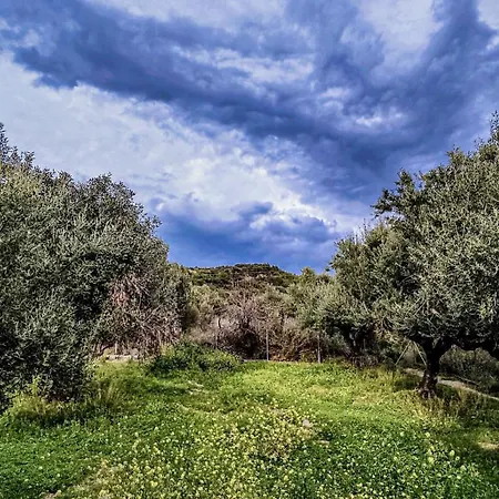 Your Spot West Peloponnese Shared Countryhouse Zacharo Exterior photo